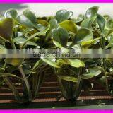 Plastic Green Artificial Hedge Fence thumbnail-5