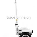 New Design Scooter Electric Step Scooter 600w Electric Skateboard
