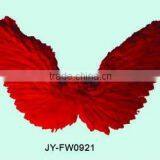 Wing