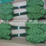 Monstera Leaf-L,no Latex