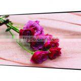 65"LED Backlight LCD Panels video display/65"new lcd display screen with touch screen