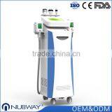 Professional Cryolipo Fat Freezing+rf+cavitation Increasing Muscle Tone Cryolipolysis Fat Freeze Slimming Machine 3.5