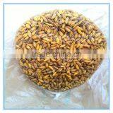 Hot Sale Delicious Dry IQF Frozen Silkworm thumbnail-3