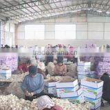 Jining Sinotrading Co., Ltd. company overview - view 4 thumbnail