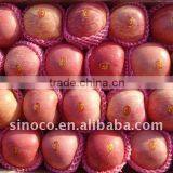 Fresh Fuji Apple Fruit for Hot Sale