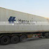 Frozen Tilapia Fillet Price for Sale thumbnail-5