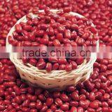 Red Kidney Beans for Hot Sale and With Free Sample for Sale thumbnail-5