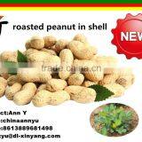 Good Salted Roasted Peanut in Shell thumbnail-5