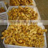 Organic Fresh Ginger thumbnail-2