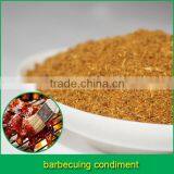 Barbecuing Condiment Spice Blend