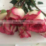 Grade A Fresh Rose Flowers Fresh-cut Roses thumbnail-2