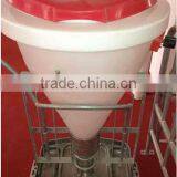 Dry Wet Feeder for Pig Use thumbnail-2