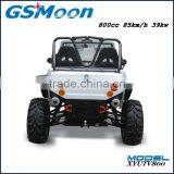 Powerfull 800cc Dune Buggy for Sale With EFI Engine thumbnail-4