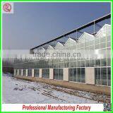 Hot Sale Multi-span Glass 7.2m Agriculture Greenhouses for Garden thumbnail-2