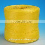 High Quanlity Ropes,PP Packing Rope,baler Twine,banana Ropes/PP Ropes thumbnail-3