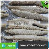 Frozen Mackerel Loin thumbnail-1