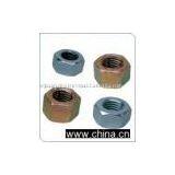 Hex Head Nuts