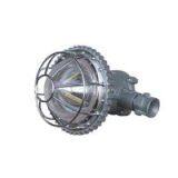 35W Mine Explosion-proof Type LED Roadway Lamp thumbnail-2
