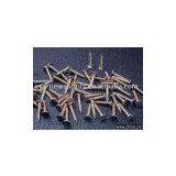 Roofing Nails Ring Shank thumbnail-1