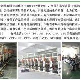 Dongguan Weida Packing Products Co Ltd company overview - view 2 thumbnail
