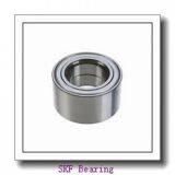 SKF Bearings thumbnail-1