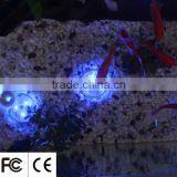 IP68 Waterproof High Quality Colorful LED Aquarium Landscape Lighting thumbnail-5