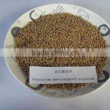 Hot!!! Forage Seed Pennisetum Americanum P.purpureum Seed thumbnail-1