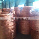 Purity 99.95% Copper Rod Coils Copper Wire thumbnail-5