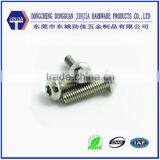 Flat head stainless steel torx anti theft screw