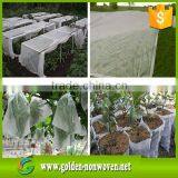 Grapes and Banana Are Packaged by pp Non Woven Fabric by Golden Nonwoven thumbnail-6