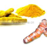 Turmeric Oil Extraction