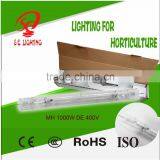 Super Greenhouse Indoor Growing Double Ended MH 600W Light