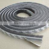 Weather Strip thumbnail-1