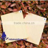 Microorganisms Microscope Slides thumbnail-1