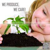 Nantong Victoria Import And Export Co., Ltd. company overview - view 1 thumbnail