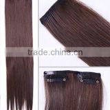 Wholesale Clip in synthetic hair extension, fake hair extensions
