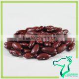 Dark Red Kidney Beans For Can Processing thumbnail-5