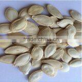 Organic Pumpkin Seeds Shine Skin 10,11-13MM thumbnail-5