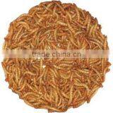 Golden Yellow Dried Mealworm Pet Products thumbnail-1