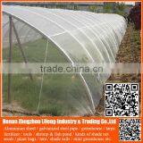 Chinese Factory pe Greenhouse Anti Insect Proof Net , Plastic Vegetable Anti Insect Net , Nylon Agricultural Anti Insect Net thumbnail-4