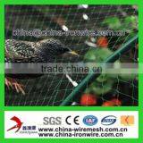 Anti Bird Netd