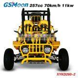 250cc EEC/EPA Racing Kart thumbnail-3