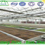 Agricultural Glass Greenhouse for Sale thumbnail-3