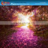 Glowing Paving Stone for Garden/illuminated Road Stone thumbnail-6