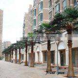 SJ12001202 China Wholesale Artificial Fan Plam Trees thumbnail-5