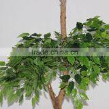 2016 Hot Sale Banyan Tree,Wholesale Artificial Decorative Tree thumbnail-4