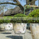 Atlantic Planter on Steel Stand. thumbnail-1