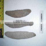 Isostichopus Fuscus thumbnail-2