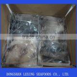 Frozen Peru Giant Squid Wing