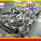 FROZEN ROUND SCAD HGT thumbnail-4